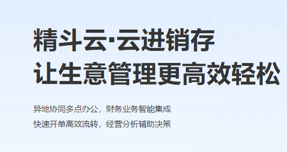 精斗云·云会计